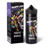 Tropic Mango Aroma 10ml Dampflion Intense