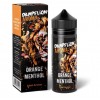 Orange Menthol Aroma 10ml Dampflion Intense