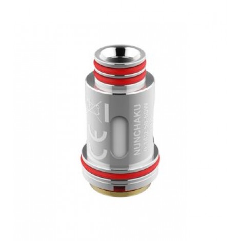 Payback Lychee Ice Aroma 10ml Ganggang